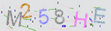 Captcha Sicherheitscode