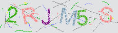Captcha Sicherheitscode