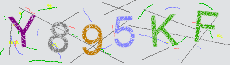 Captcha Sicherheitscode