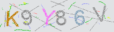 Captcha Sicherheitscode