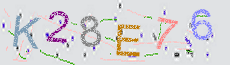 Captcha Sicherheitscode