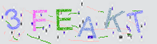 Captcha Sicherheitscode