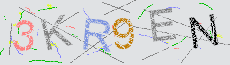 Captcha Sicherheitscode