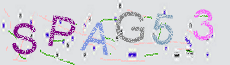 Captcha Sicherheitscode