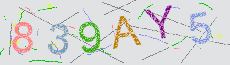 Captcha Sicherheitscode