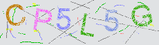 Captcha Sicherheitscode