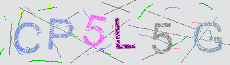 Captcha Sicherheitscode