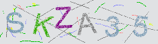 Captcha Sicherheitscode