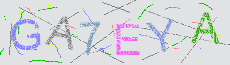 Captcha Sicherheitscode