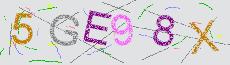 Captcha Sicherheitscode