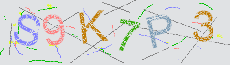 Captcha Sicherheitscode