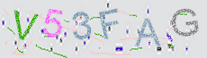 Captcha Sicherheitscode
