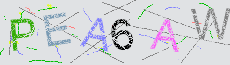 Captcha Sicherheitscode