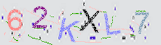 Captcha Sicherheitscode