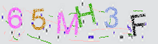 Captcha Sicherheitscode