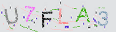 Captcha Sicherheitscode