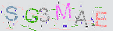 Captcha Sicherheitscode