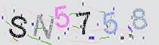 Captcha Sicherheitscode