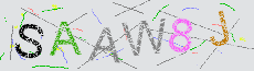 Captcha Sicherheitscode