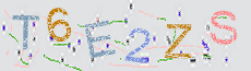 Captcha Sicherheitscode