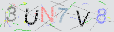 Captcha Sicherheitscode
