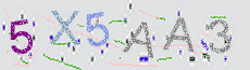 Captcha Sicherheitscode