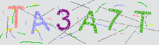 Captcha Sicherheitscode