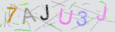 Captcha Sicherheitscode