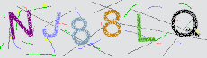 Captcha Sicherheitscode
