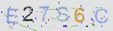 Captcha Sicherheitscode