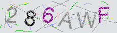 Captcha Sicherheitscode