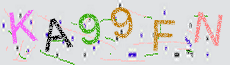Captcha Sicherheitscode