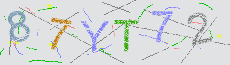 Captcha Sicherheitscode