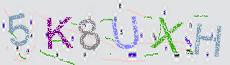 Captcha Sicherheitscode