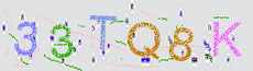 Captcha Sicherheitscode