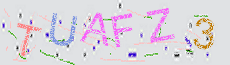 Captcha Sicherheitscode