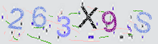 Captcha Sicherheitscode