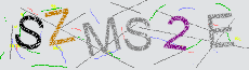 Captcha Sicherheitscode