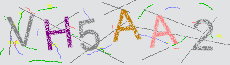 Captcha Sicherheitscode