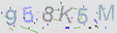 Captcha Sicherheitscode