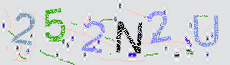 Captcha Sicherheitscode