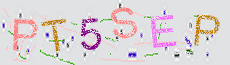 Captcha Sicherheitscode