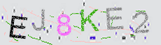 Captcha Sicherheitscode