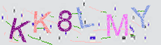 Captcha Sicherheitscode