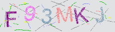 Captcha Sicherheitscode