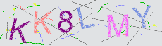Captcha Sicherheitscode