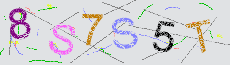 Captcha Sicherheitscode