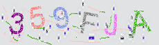 Captcha Sicherheitscode