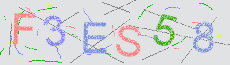 Captcha Sicherheitscode