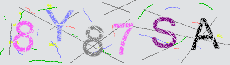Captcha Sicherheitscode